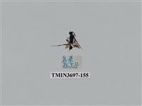 藏品(膜翅目(蜂))的圖片